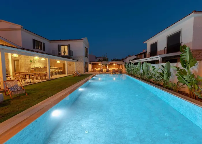 Hatica By Fora Alacati